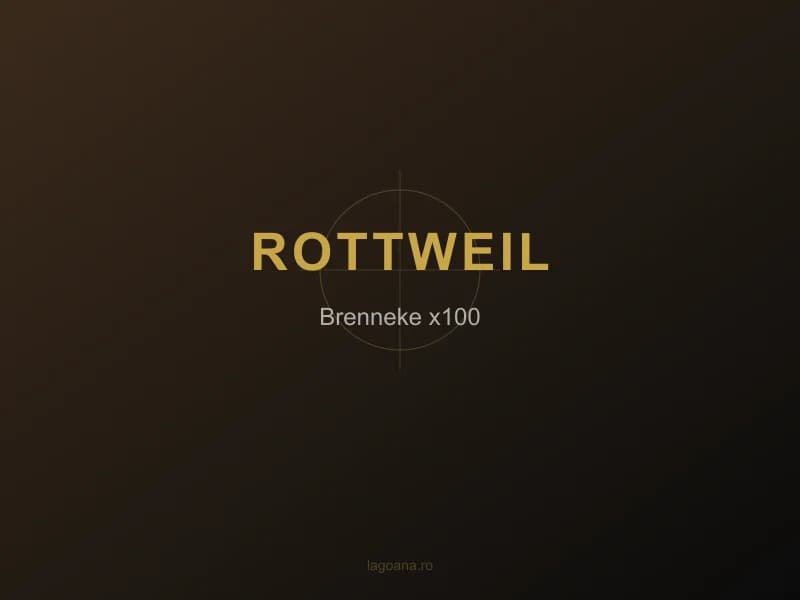 Cartuse Rottweil Brenneke Classic 12/70 - 100buc